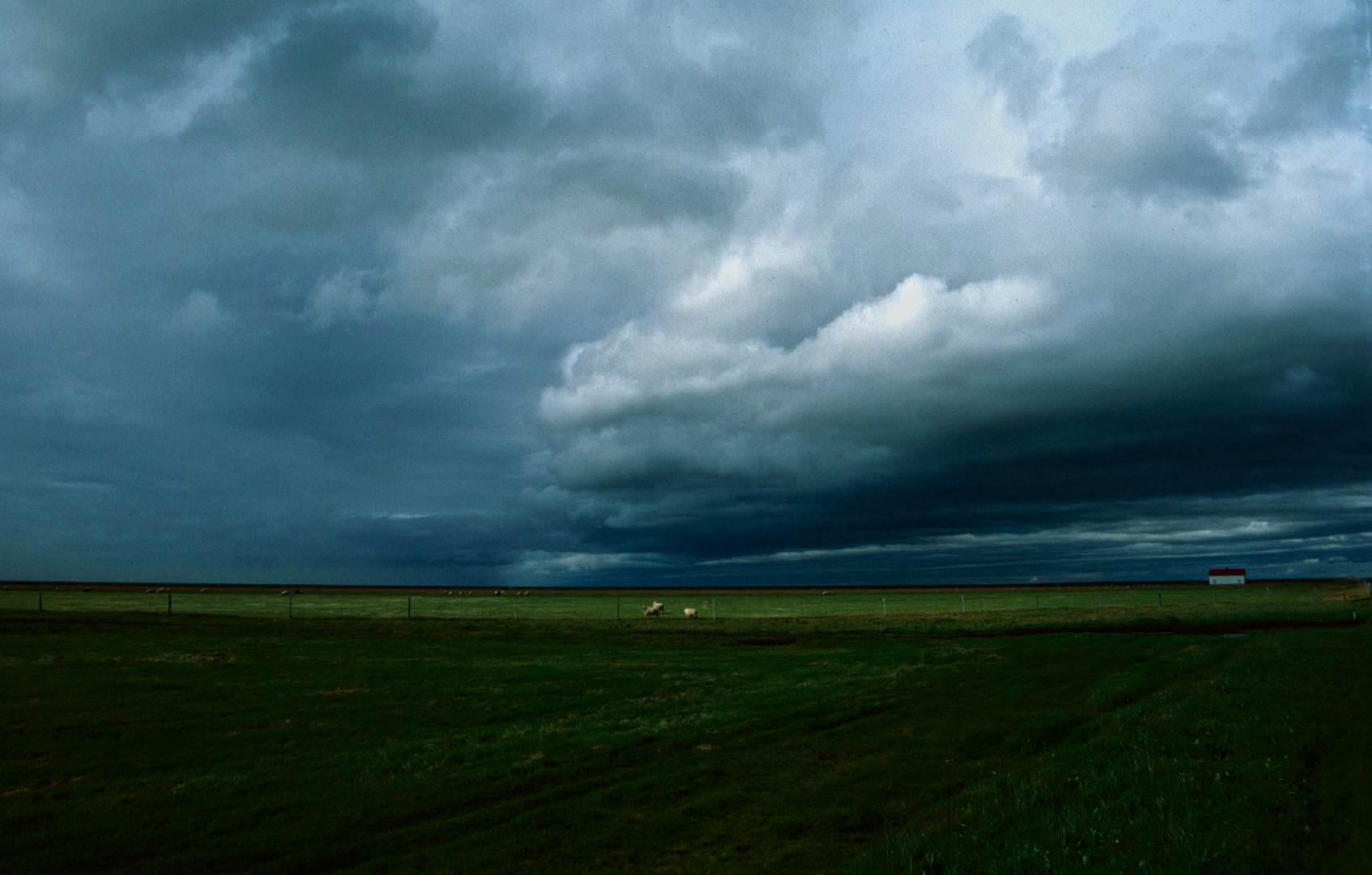 Farmland im Südwesten von Island - 1994 (1)