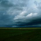 Farmland im Südwesten von Island - 1994 (1)