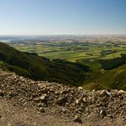 Farmland in Canterbury