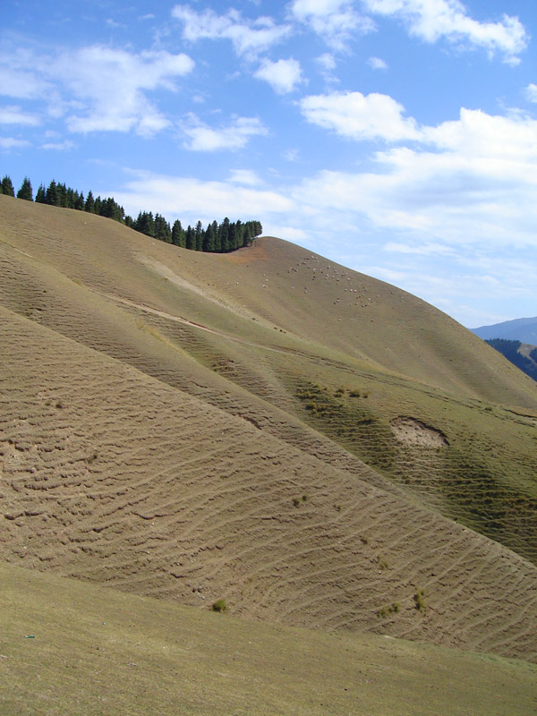 Farmland on a mountain