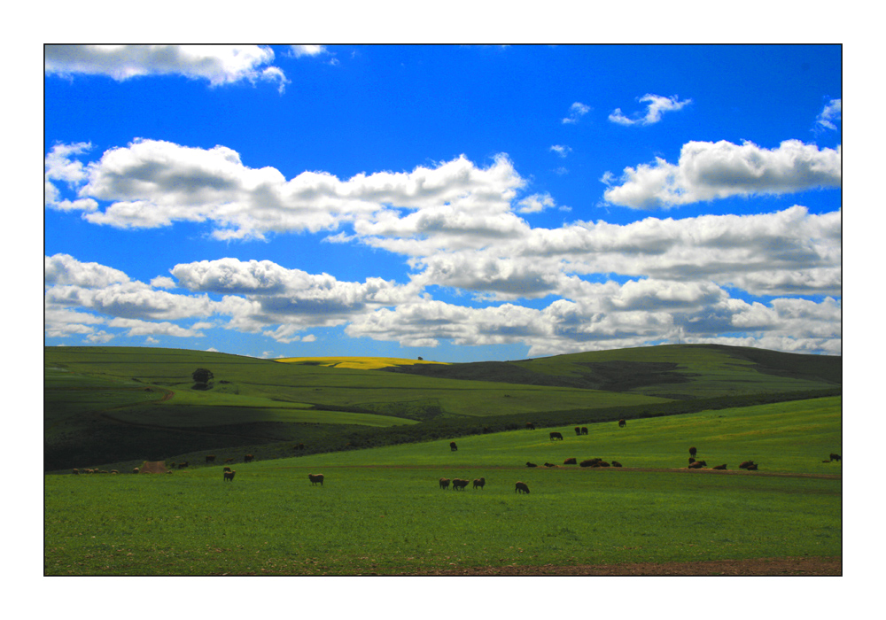 Farmlandschaft