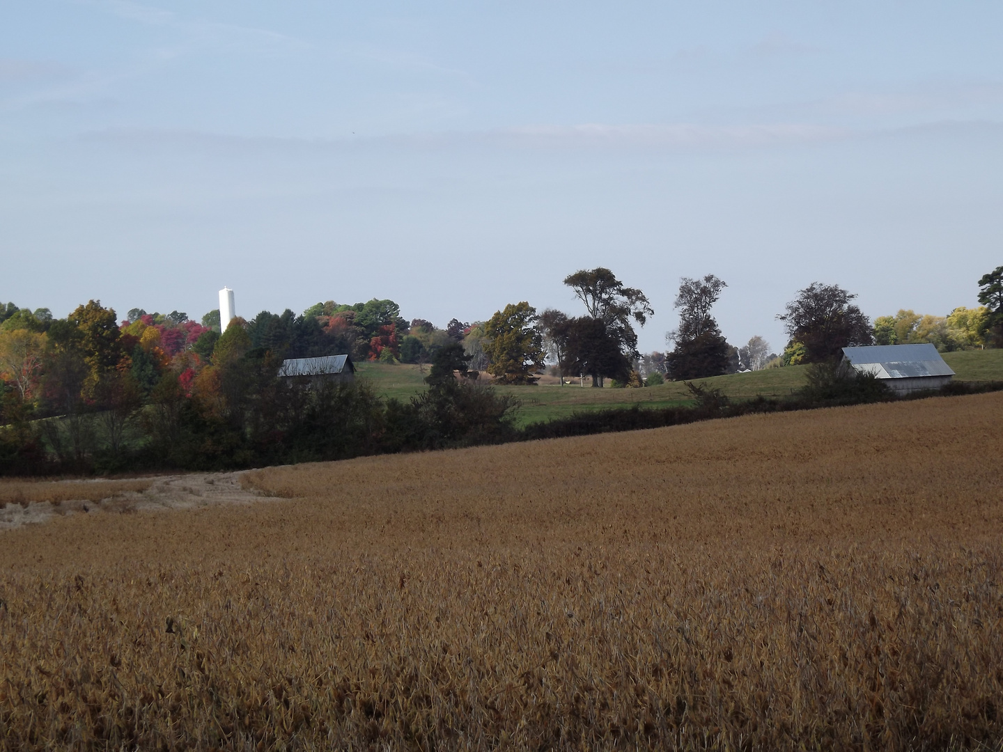 Farmlandschaft in Tennessee