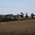 Farmlandschaft in Tennessee