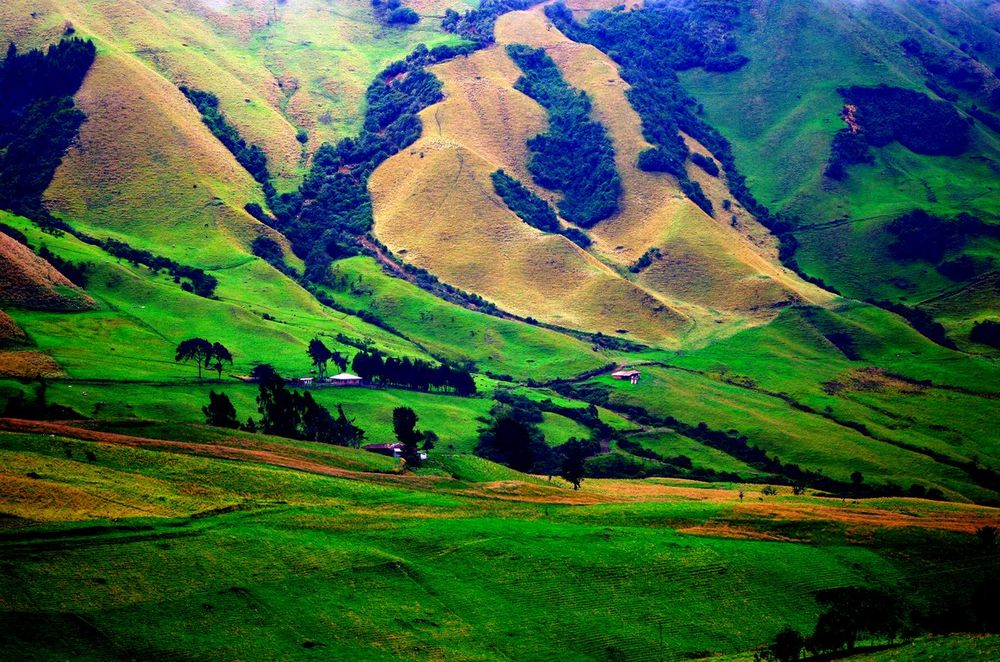 Farms in the high Andes of Colombia