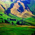 Farms in the high Andes of Colombia