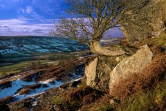 farndale 