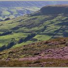 Farndale North Yorkshire 2