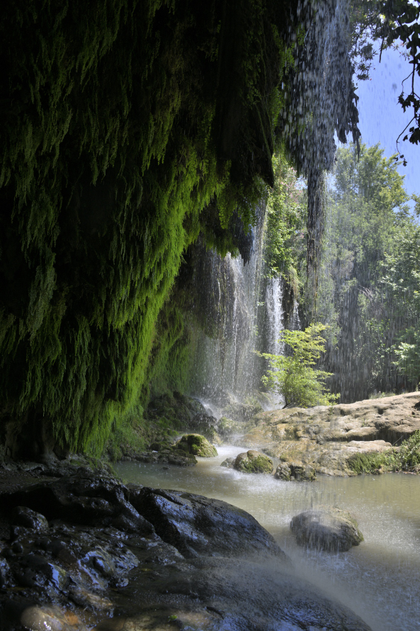 Farne hintern Wasserfall