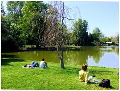 Farniente au parc...