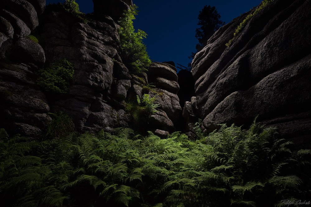 Farnzauber - lightpainting