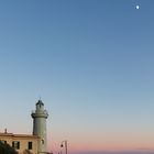 Faro