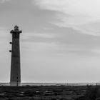 Faro