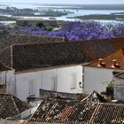 Faro . Blick von der Kathedrale