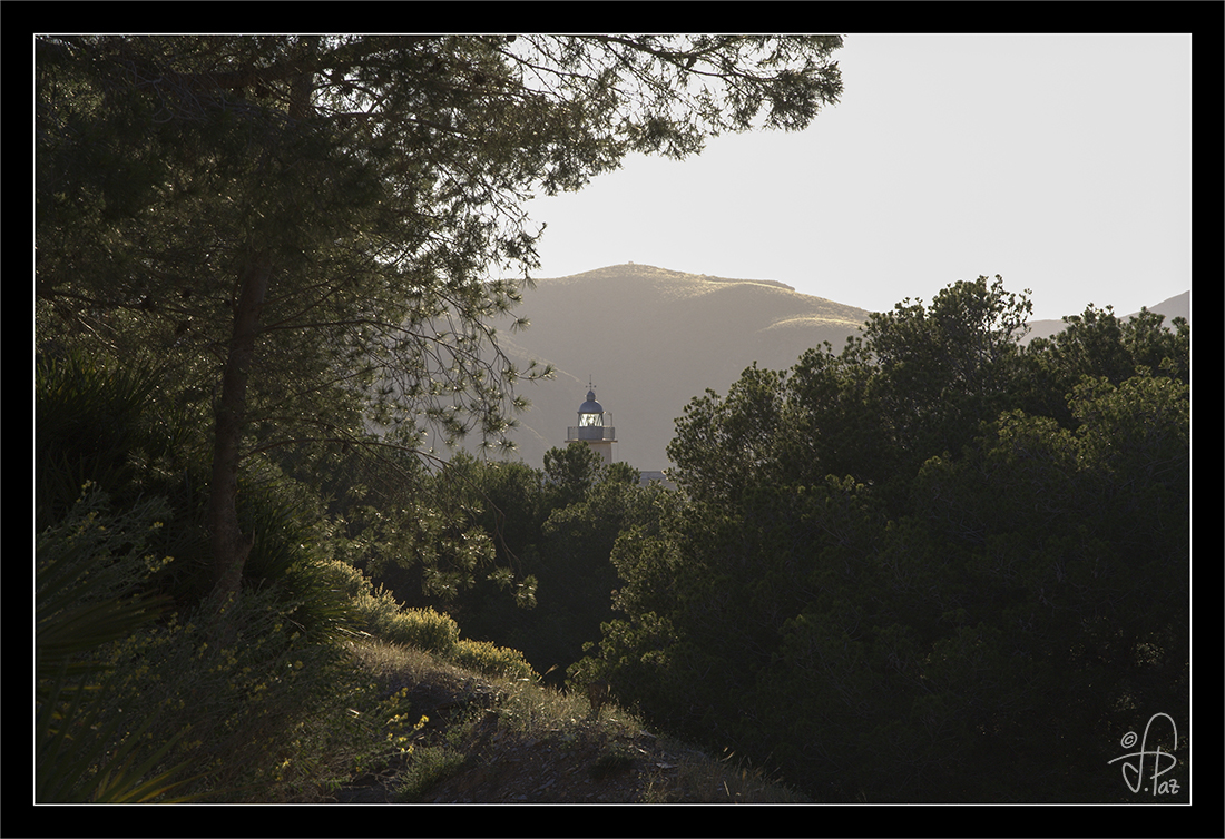 Faro de Portman