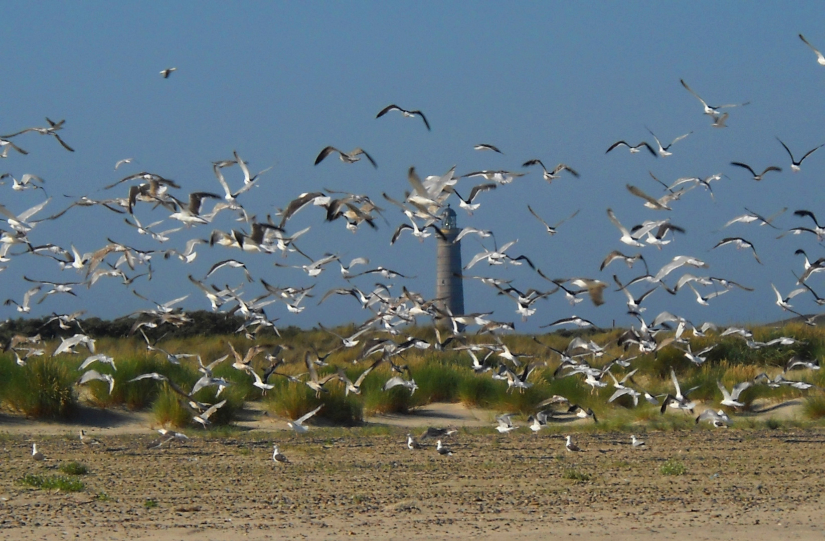 Faro di Grenen