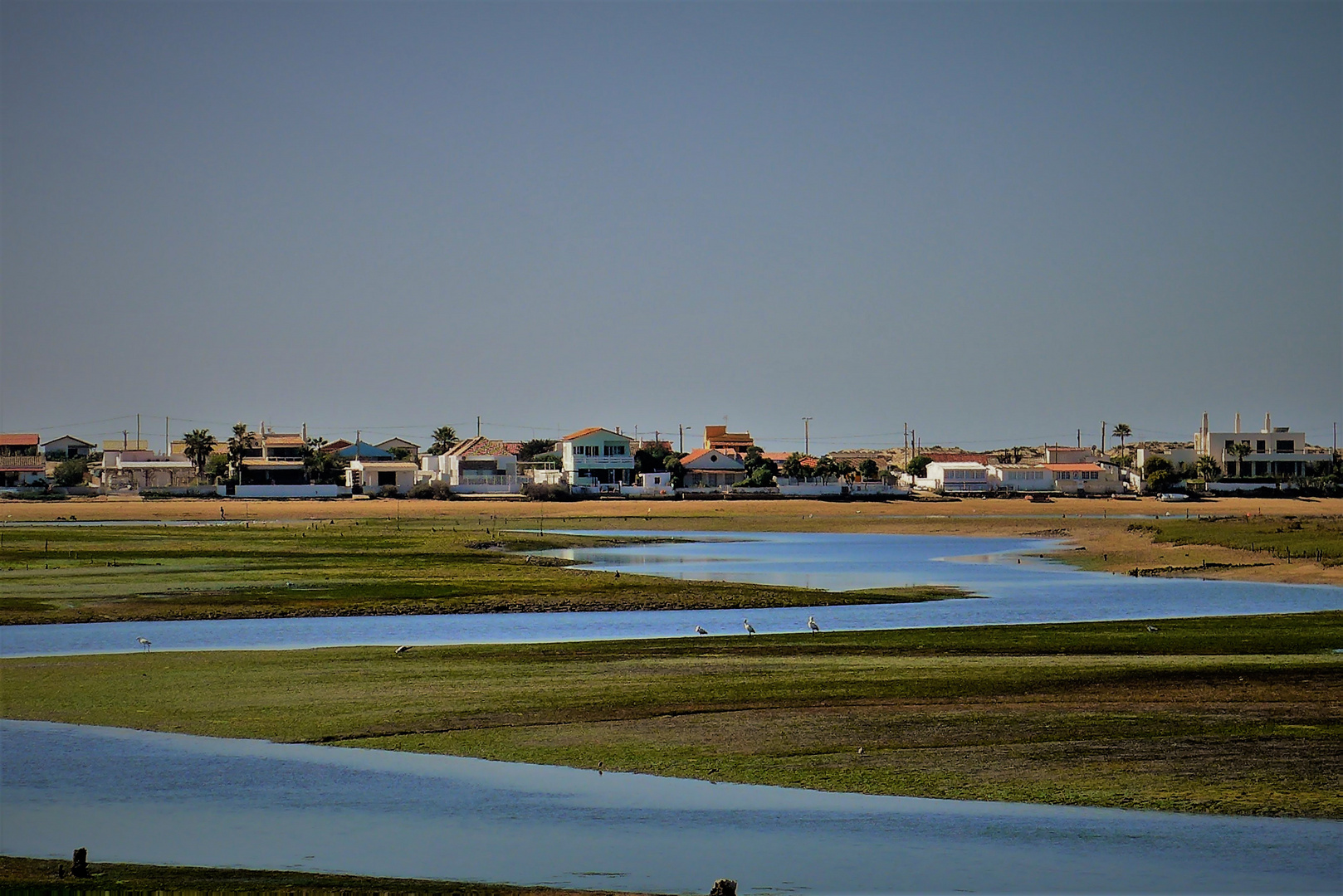 Faro island swamps 2