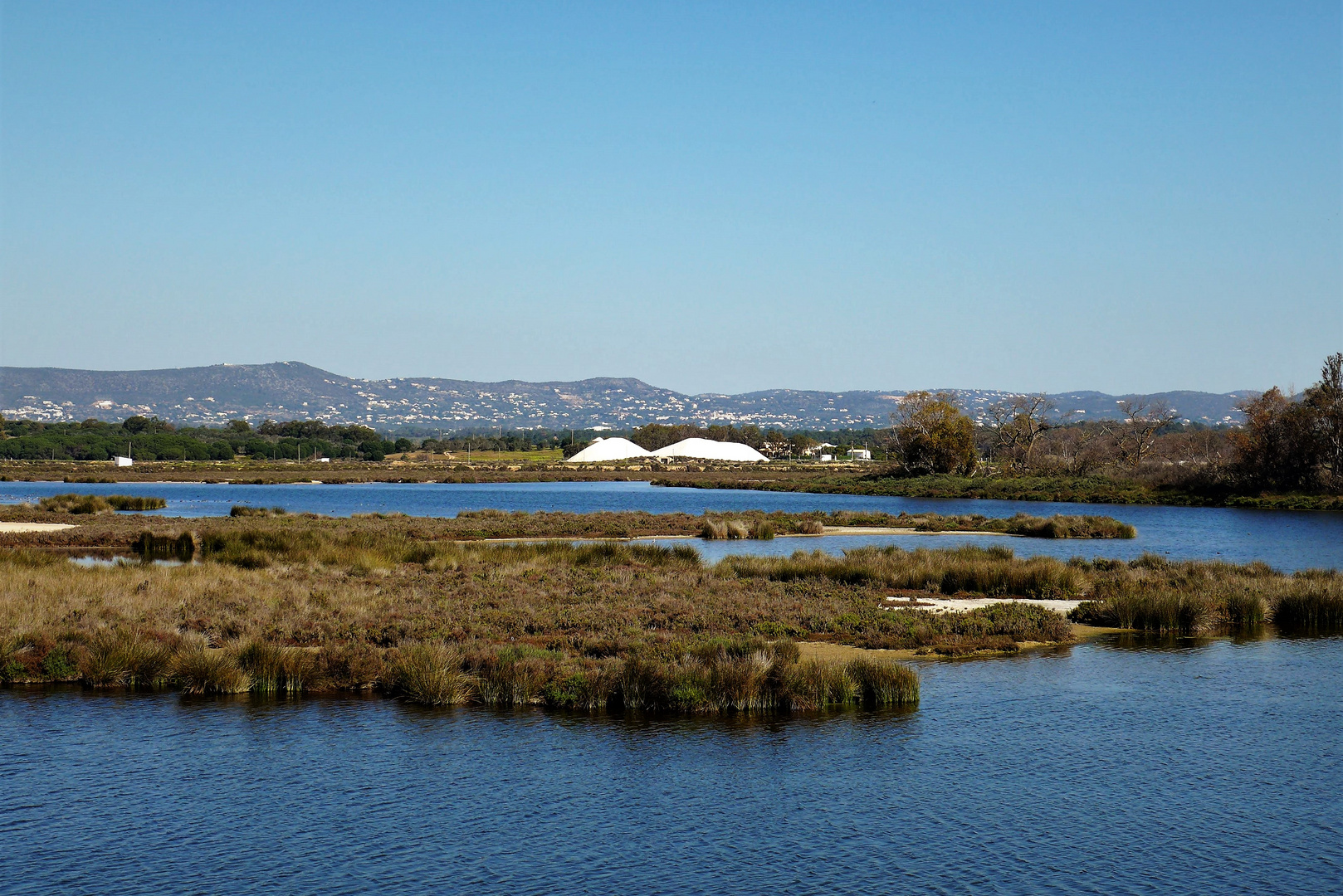 Faro island swamps 3