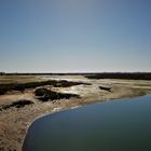 Faro island swamps