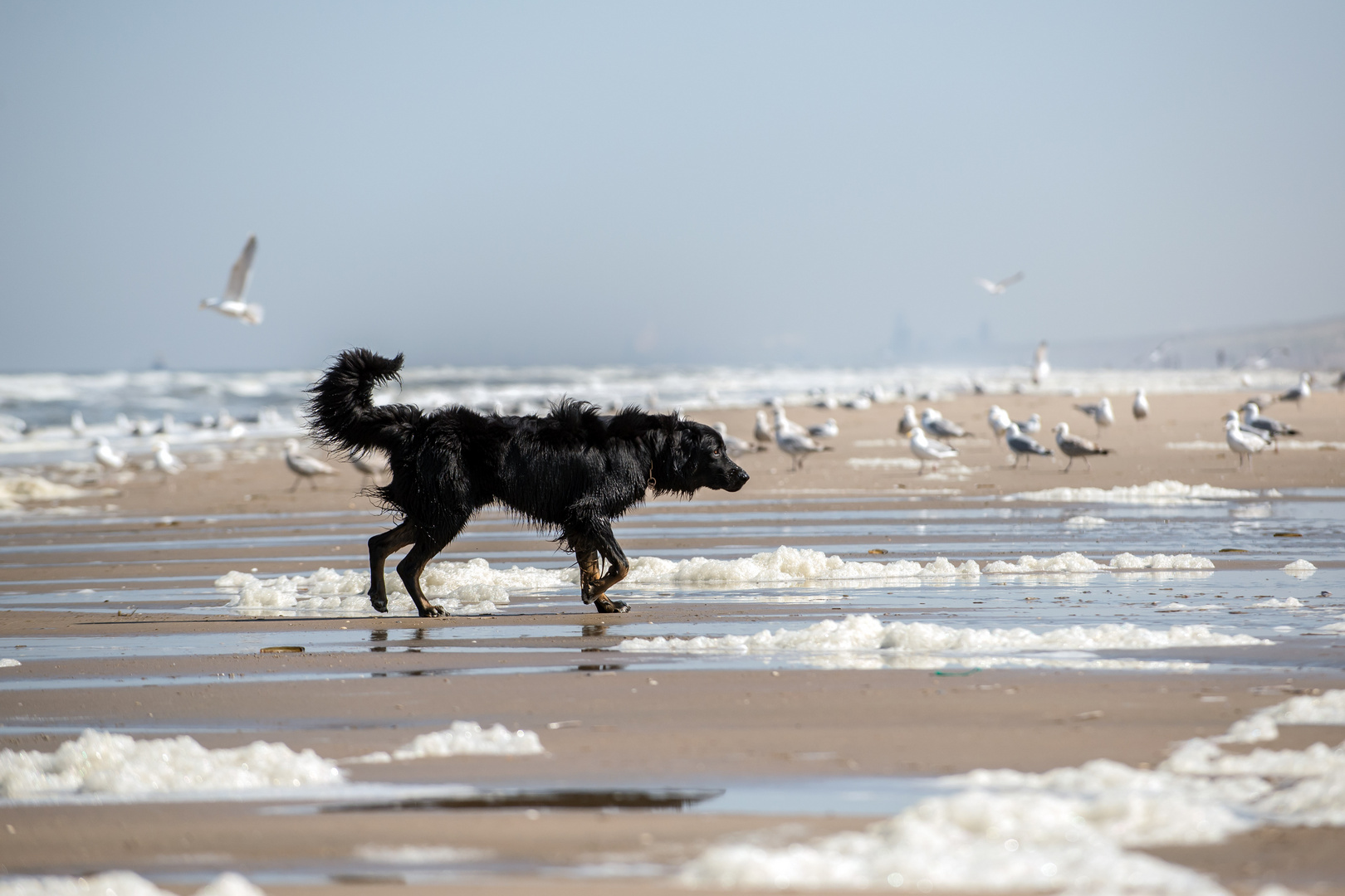 FARO meets the beach