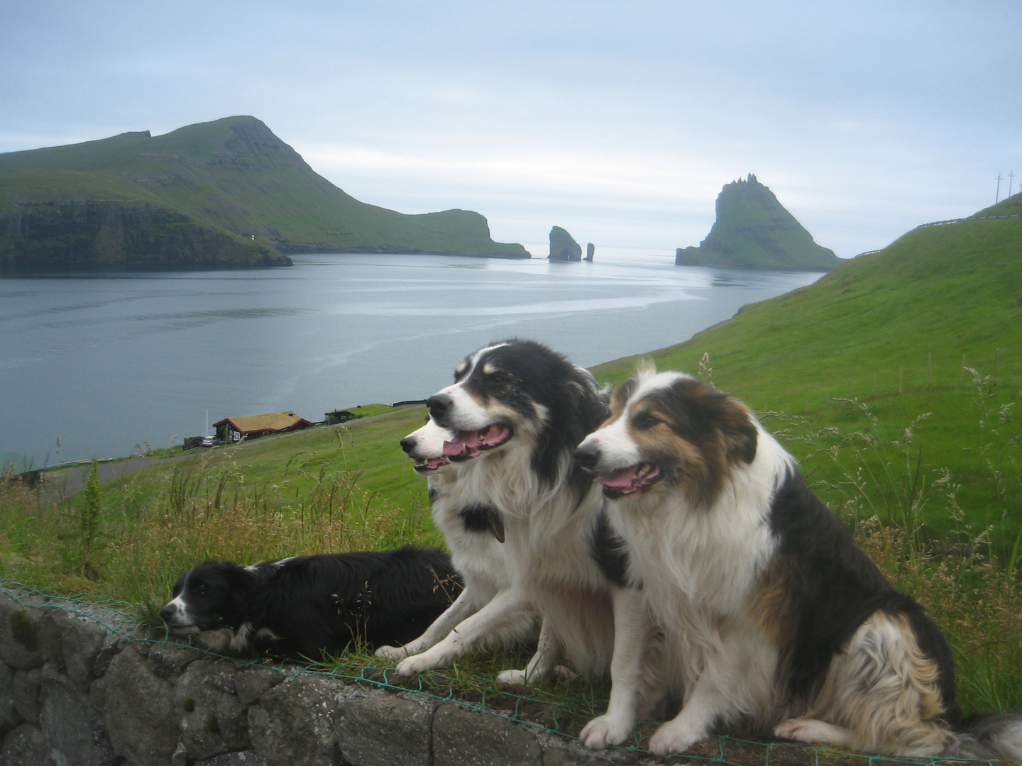 faroe island 2010