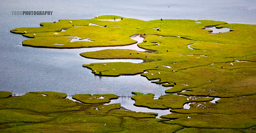 :: FAROE ISLANDS