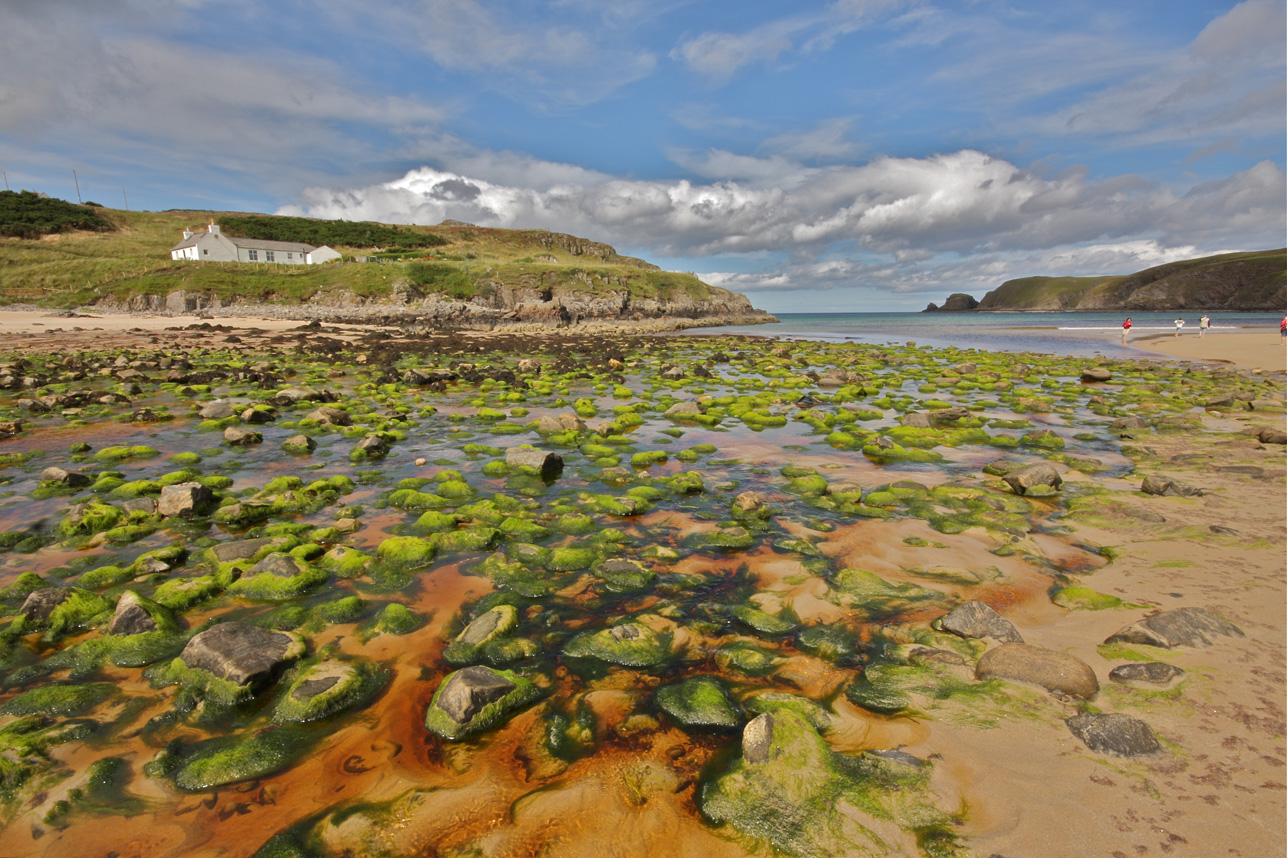 Farr Bay (Scozia)