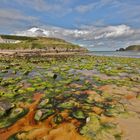 Farr Bay (Scozia)
