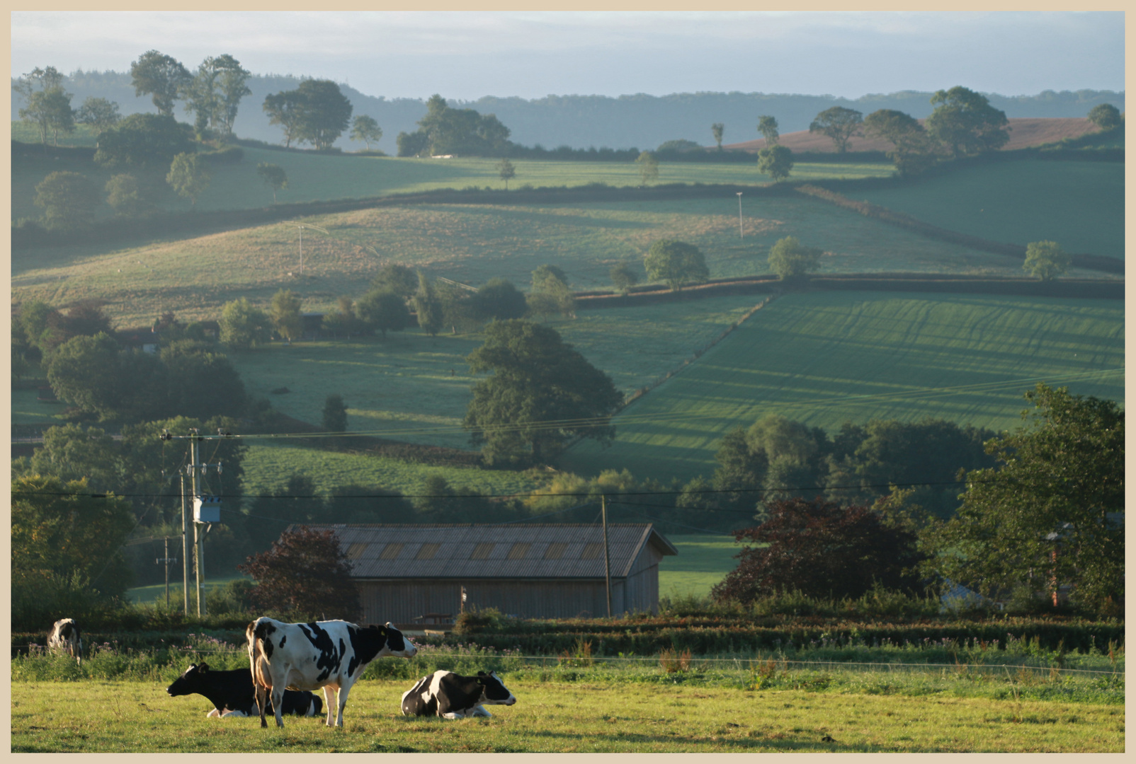 farwood barton farm 3