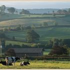 farwood barton farm 3