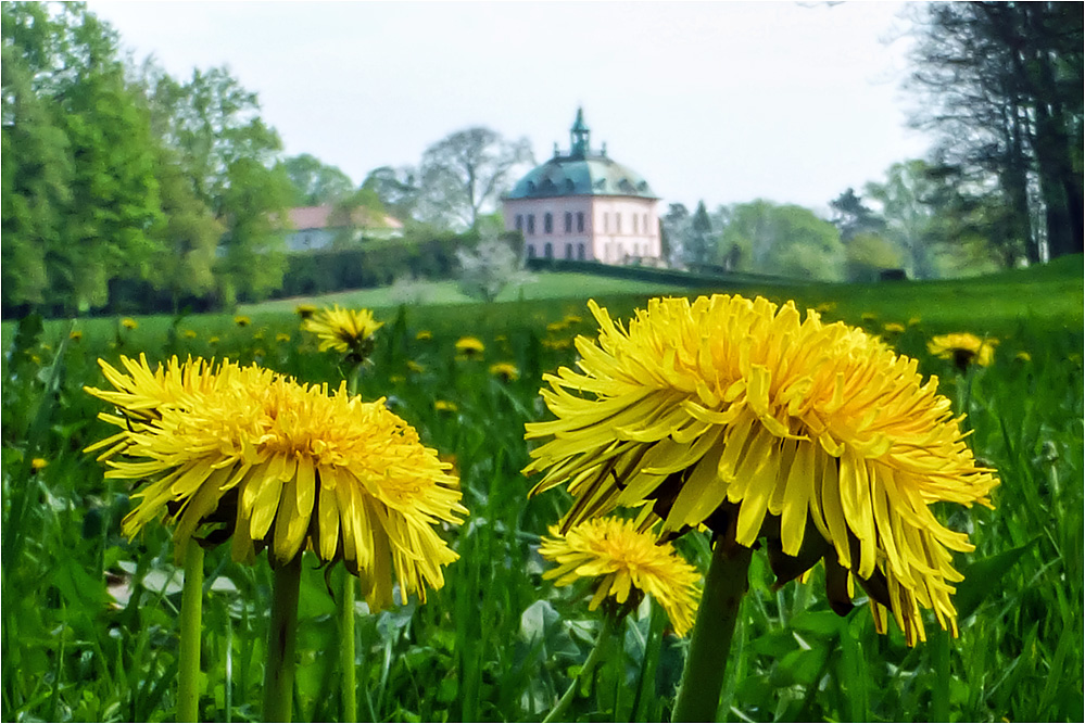 Fasanenschloß..