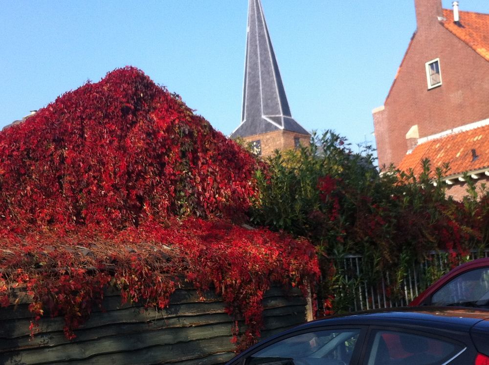 fascettenreicher Herbst