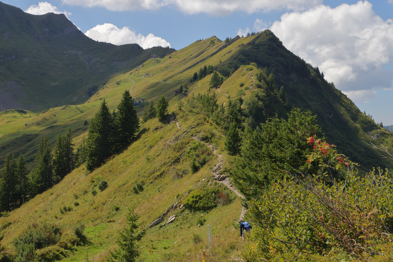 Faschina Vorarlberg Blumenlehrpfad