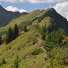 Faschina Vorarlberg Blumenlehrpfad