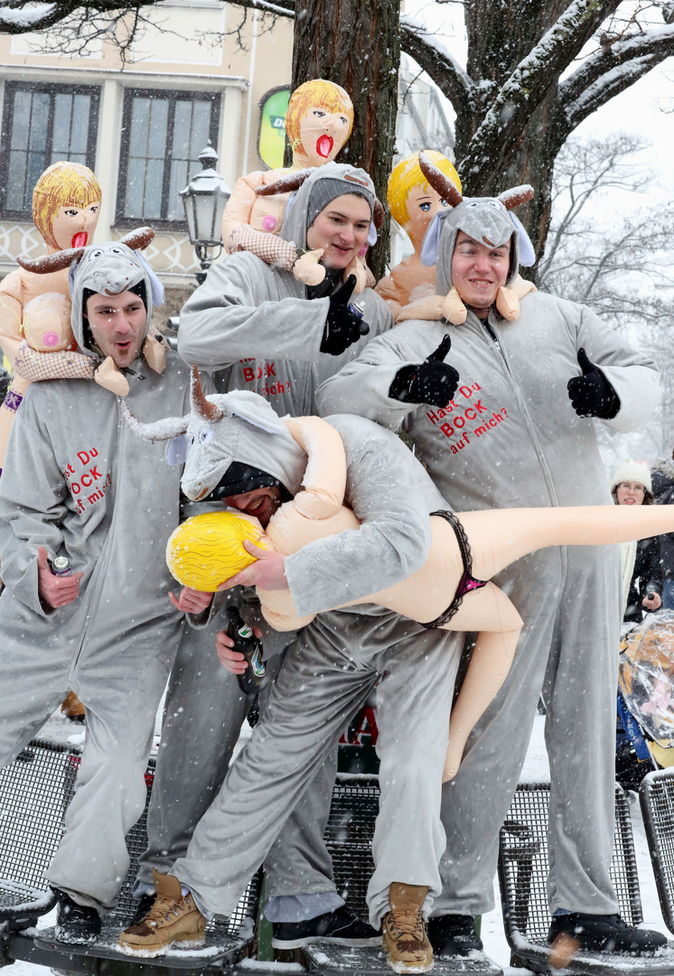 Fasching 2013 in München - serie 13