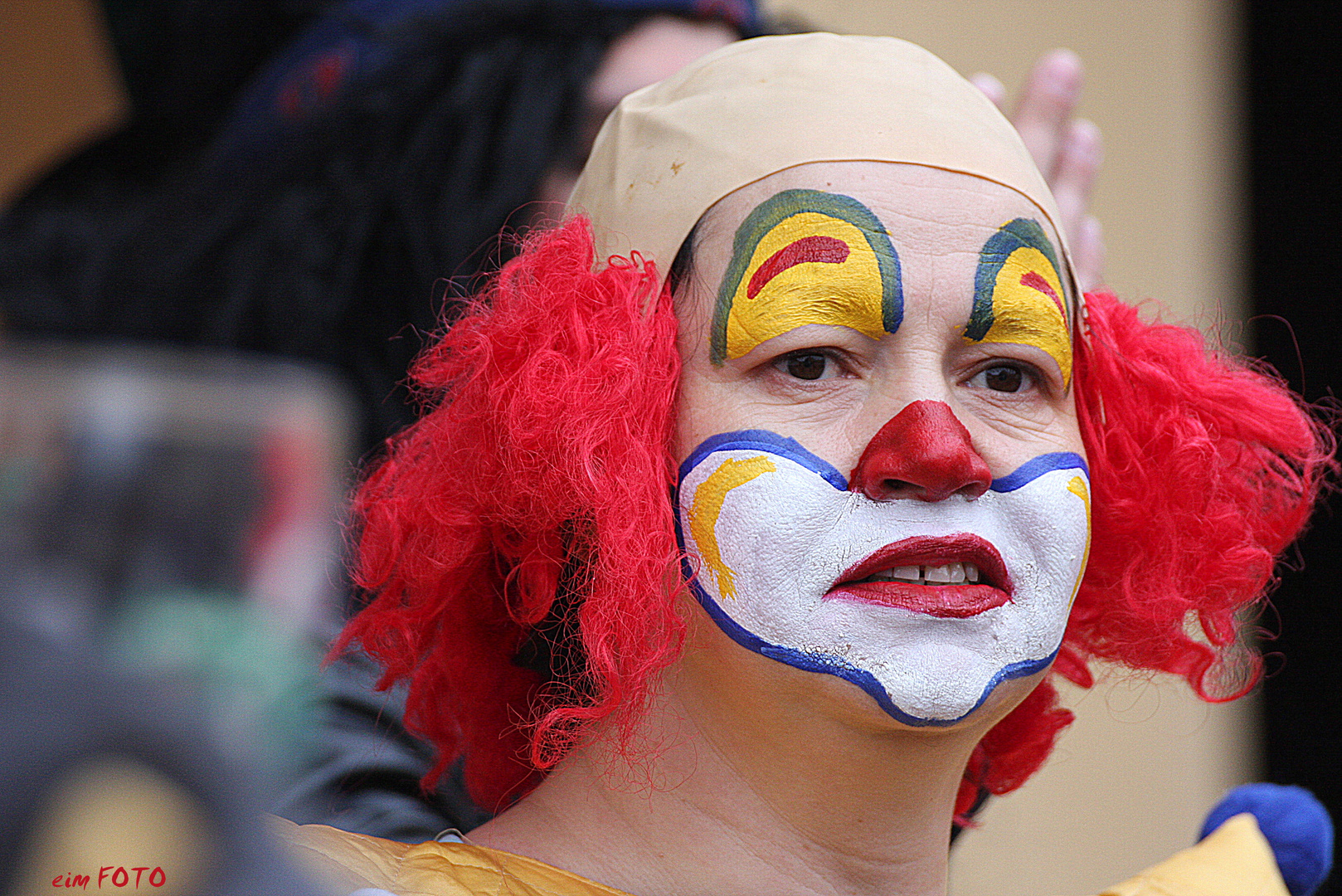 Fasching 2014