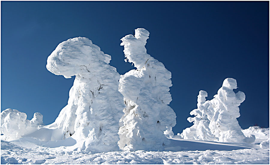 Fasching auf dem Brocken....