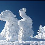 Fasching auf dem Brocken....