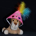 Fasching der Kuscheltiere 2