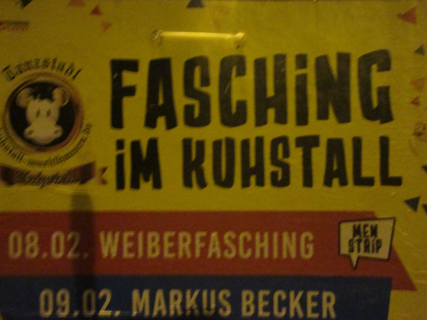 Fasching im Kuhstall