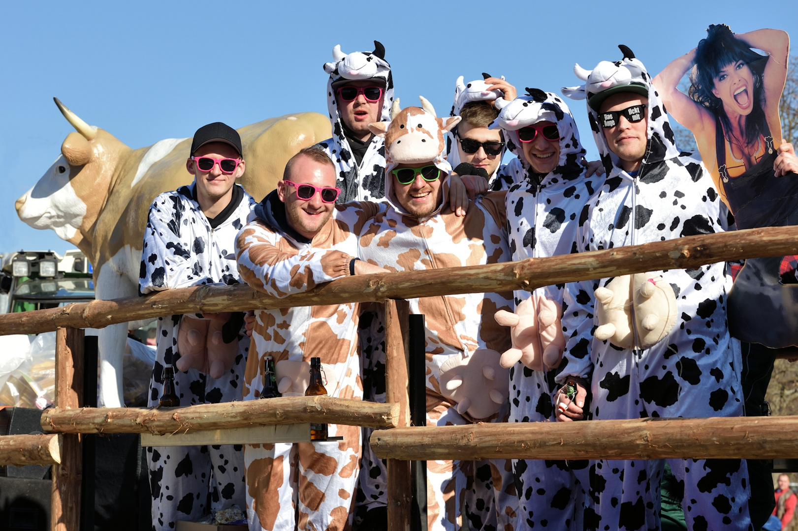 fasching in forchheim IV