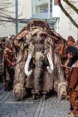  Fasching in Tübingen