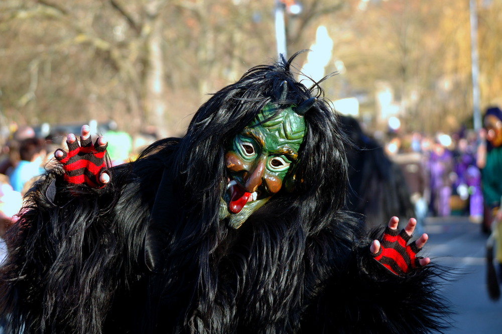 fasching in weil der stadt (4)