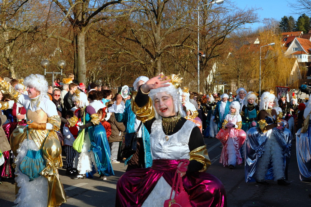 fasching in weil der stadt (6)