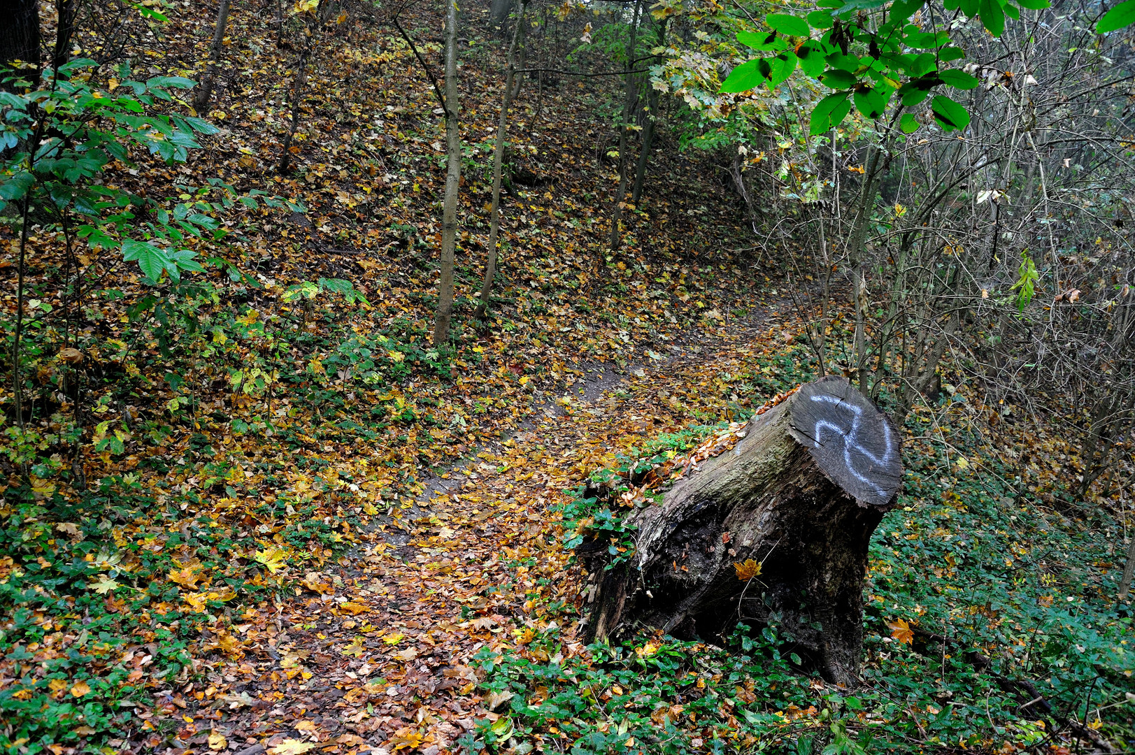 Faschistischer Baumstumpf