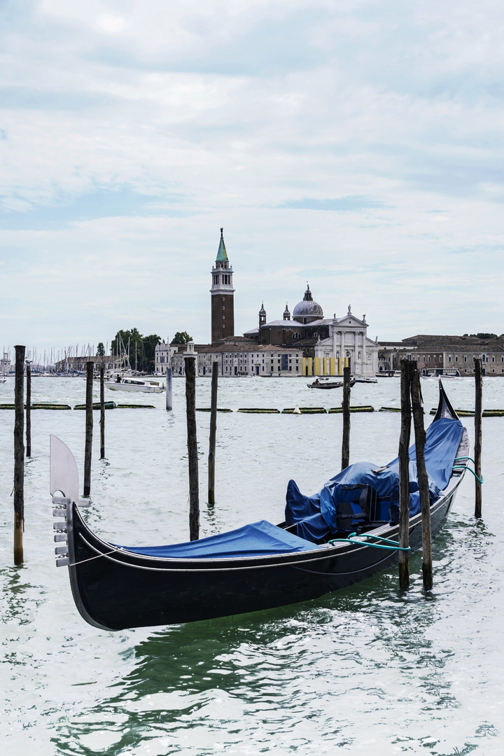 fascinating venice °12