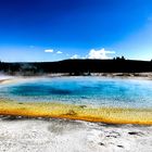 fascinating Yellowstone Nationalpark