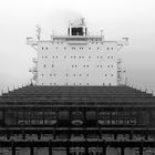 Fascination Containership