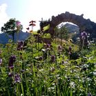 Fascino della montagna