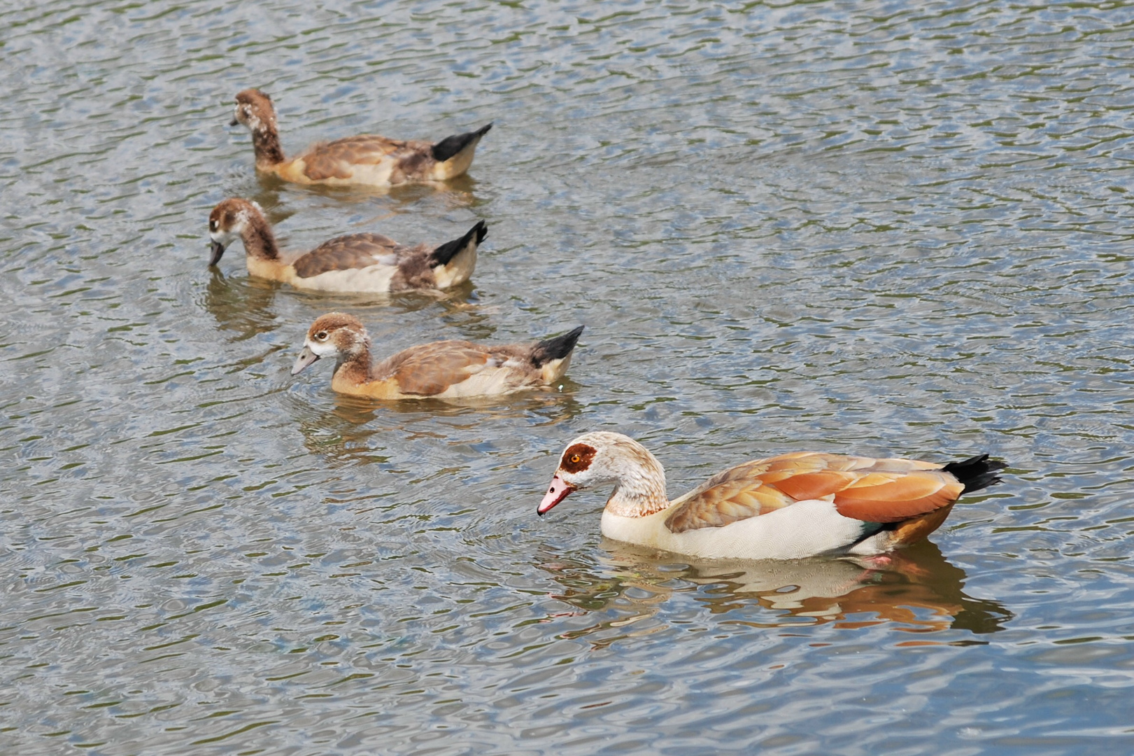 Fasmilienausflug