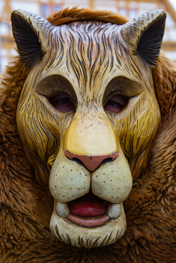 Fasnacht im Süden 21